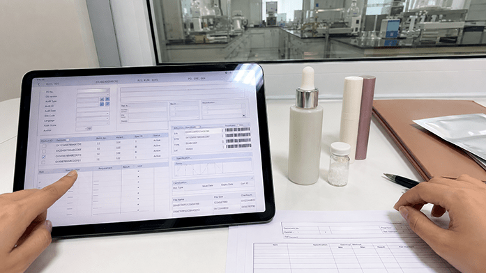 data audit checklist on tablet showing schema fields, iPhone-angle snapshot