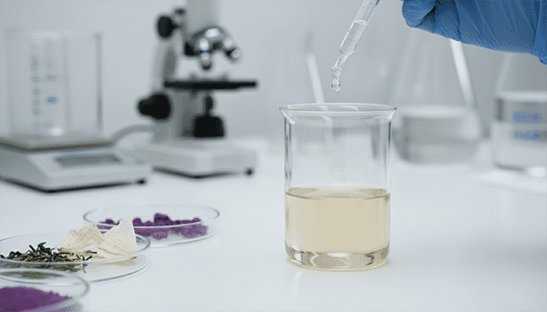 ingredients for scalp care and hair health