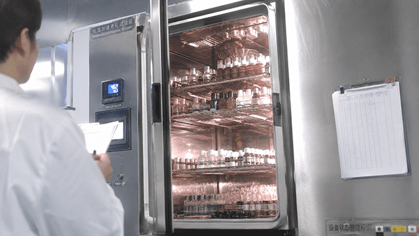 A lab technician inspecting rows of serum bottles in a stability testing chamber at different temperatures.