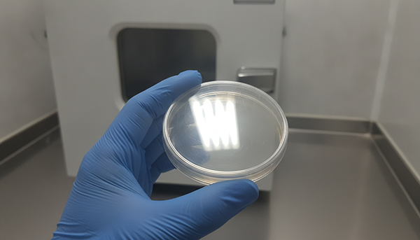 A lab technician inspecting a petri dish for microbial growth