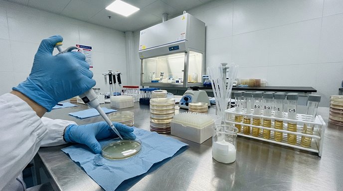 Stability chambers used to test the basic principles of cosmetic formulas